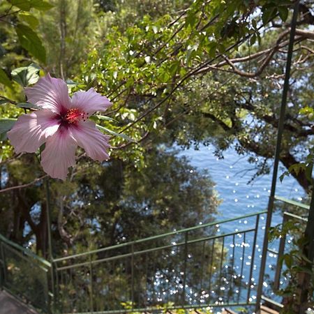 Amore Rentals - Villa Lo Scoglio ポジターノ エクステリア 写真