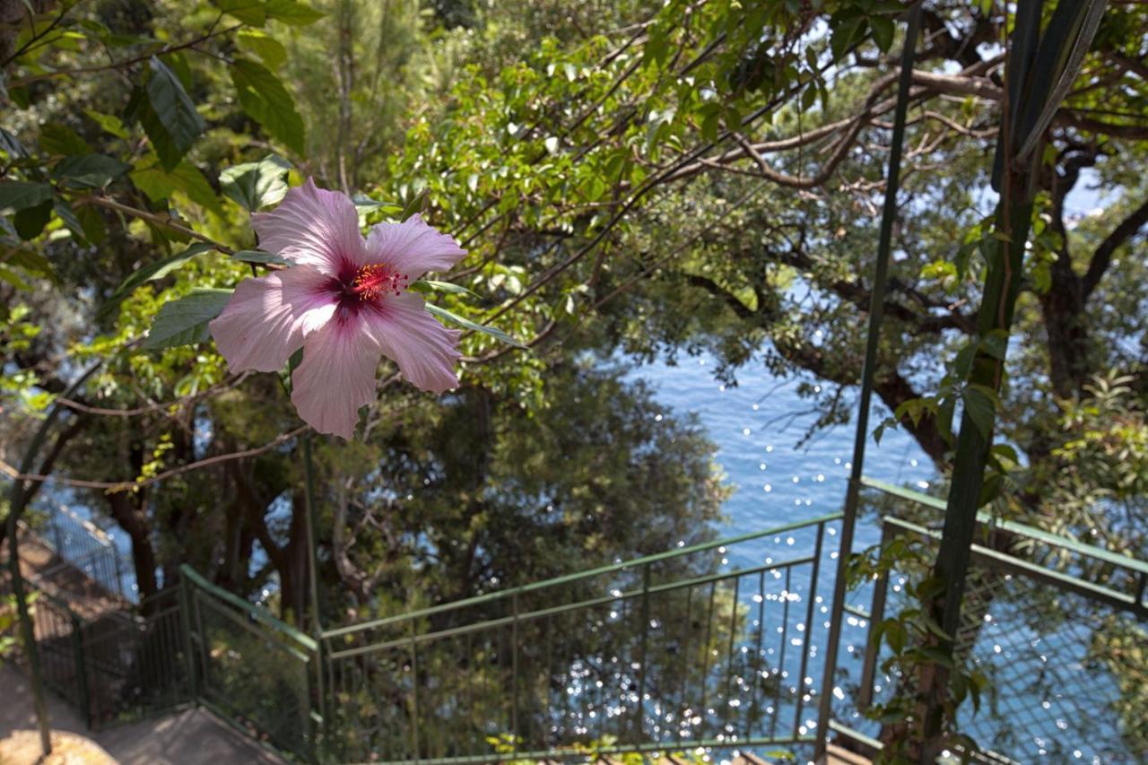 Amore Rentals - Villa Lo Scoglio ポジターノ エクステリア 写真