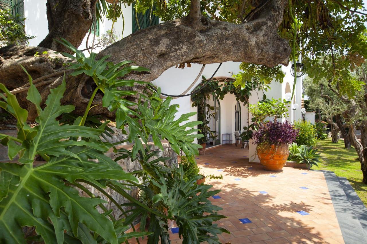 Amore Rentals - Villa Lo Scoglio ポジターノ エクステリア 写真